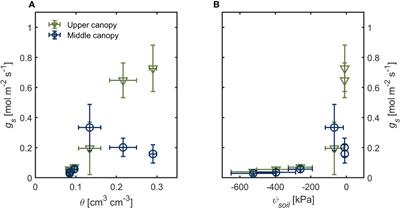 Constant hydraulic supply and ABA dynamics facilitate the trade-offs in water and carbon